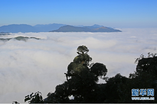 雲霧繚繞的分水嶺國家級自然保護區
