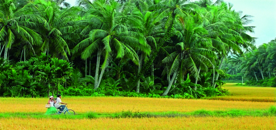 鄉村丨鄉村民俗發現