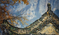 少林寺 一抹動人心魄的美