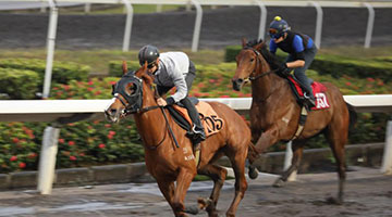 建国际旅游消费中心 ﻿发改委：鼓励海南发展赛马彩票业