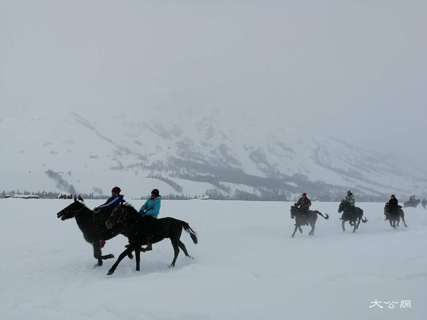 喀納斯冰雪風情旅遊節暨潑雪狂歡節現場雪地賽馬 應江洪 攝 喀納斯冰雪風情旅遊節暨潑雪狂歡節現場雪地賽馬 應江洪 攝