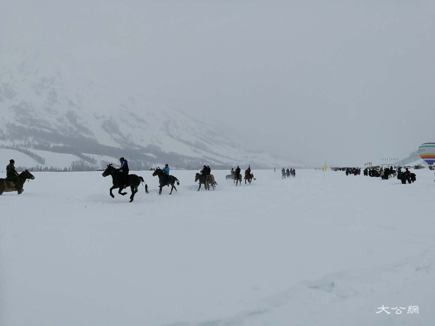 喀納斯冰雪風情旅遊節暨潑雪狂歡節現場雪地賽馬 應江洪 攝 喀納斯冰雪風情旅遊節暨潑雪狂歡節現場雪地賽馬 應江洪 攝