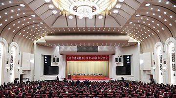 刘结一：我们挫败形形色色“台独”分裂图谋和行径