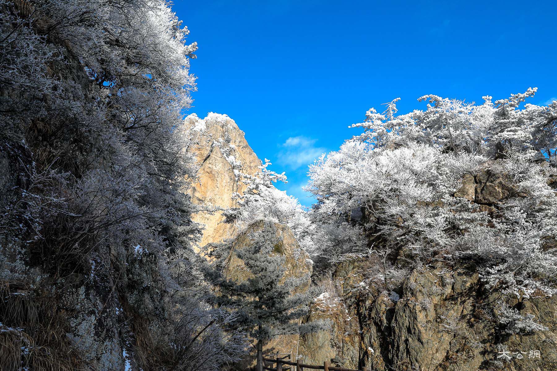 冬日老君山如仙境讓人流連忘返 位於河南省洛陽市欒川縣城東南的老君山,是中國北方道教信眾拜謁聖地,中原山水文化傑出代表。冬季的老君山,是