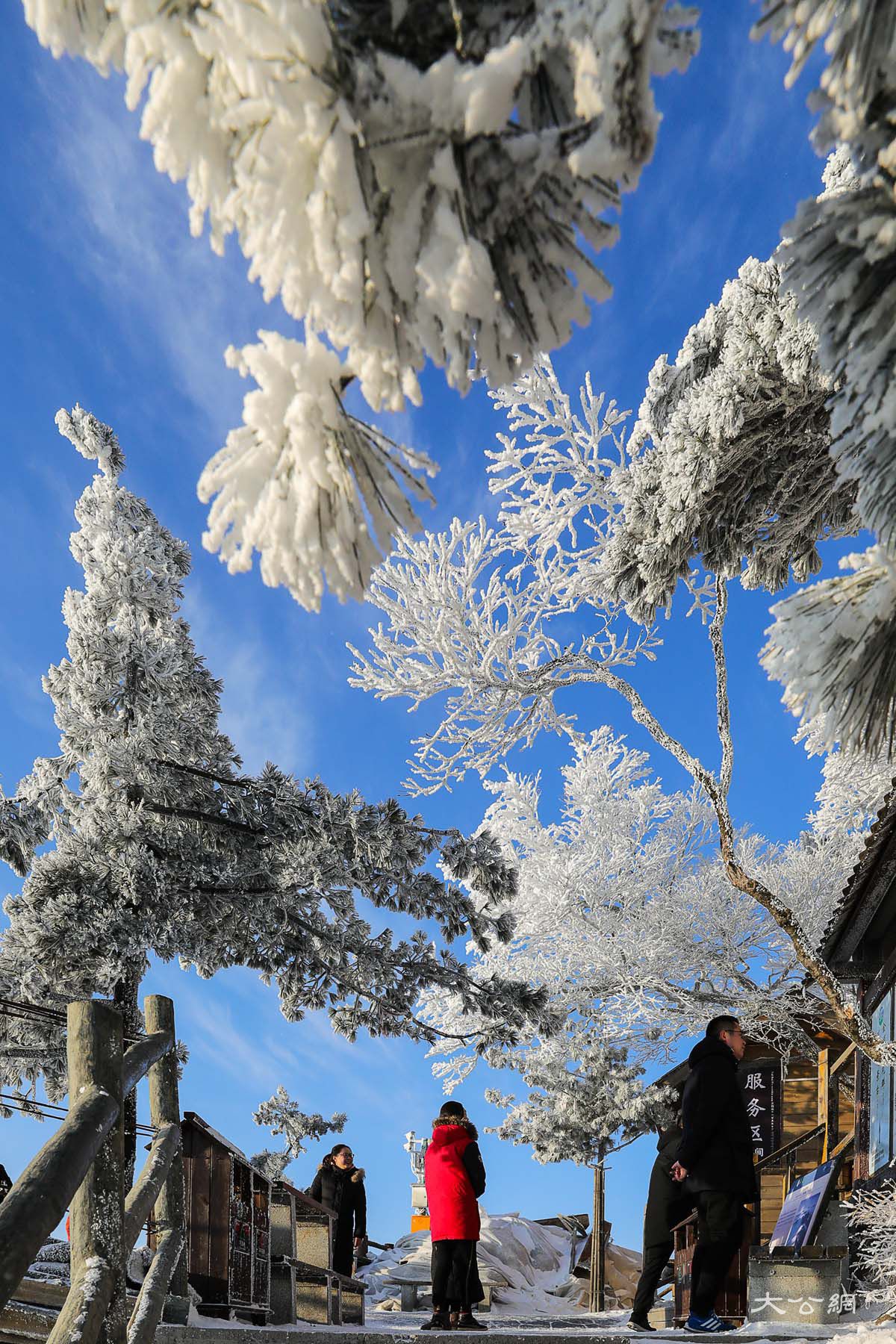 冬日老君山如仙境讓人流連忘返 位於河南省洛陽市欒川縣城東南的老君山,是中國北方道教信眾拜謁聖地,中原山水文化傑出代表。冬季的老君山,是