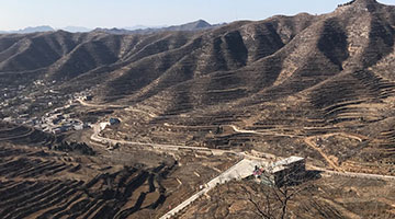 毛驴骑士接棒电商最后一公里