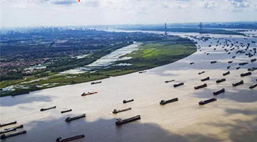 【央视快评】唱响新时代的长江之歌