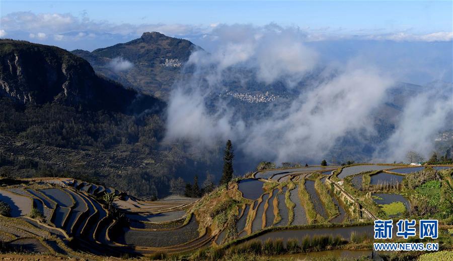 冬日雲南哈尼梯田美景如畫