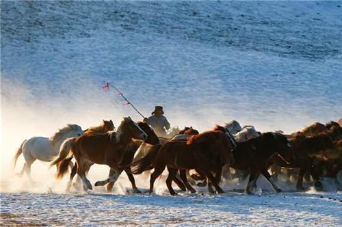 壯觀！中國內蒙古草原「雪原奔馬」