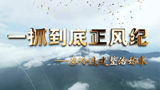 4分钟速览丨一抓到底正风纪——秦岭违建整治始末