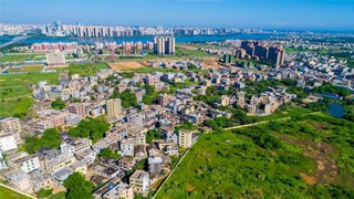 中国将尽快提出自贸港政策制度体系 加快教育医疗等开放 