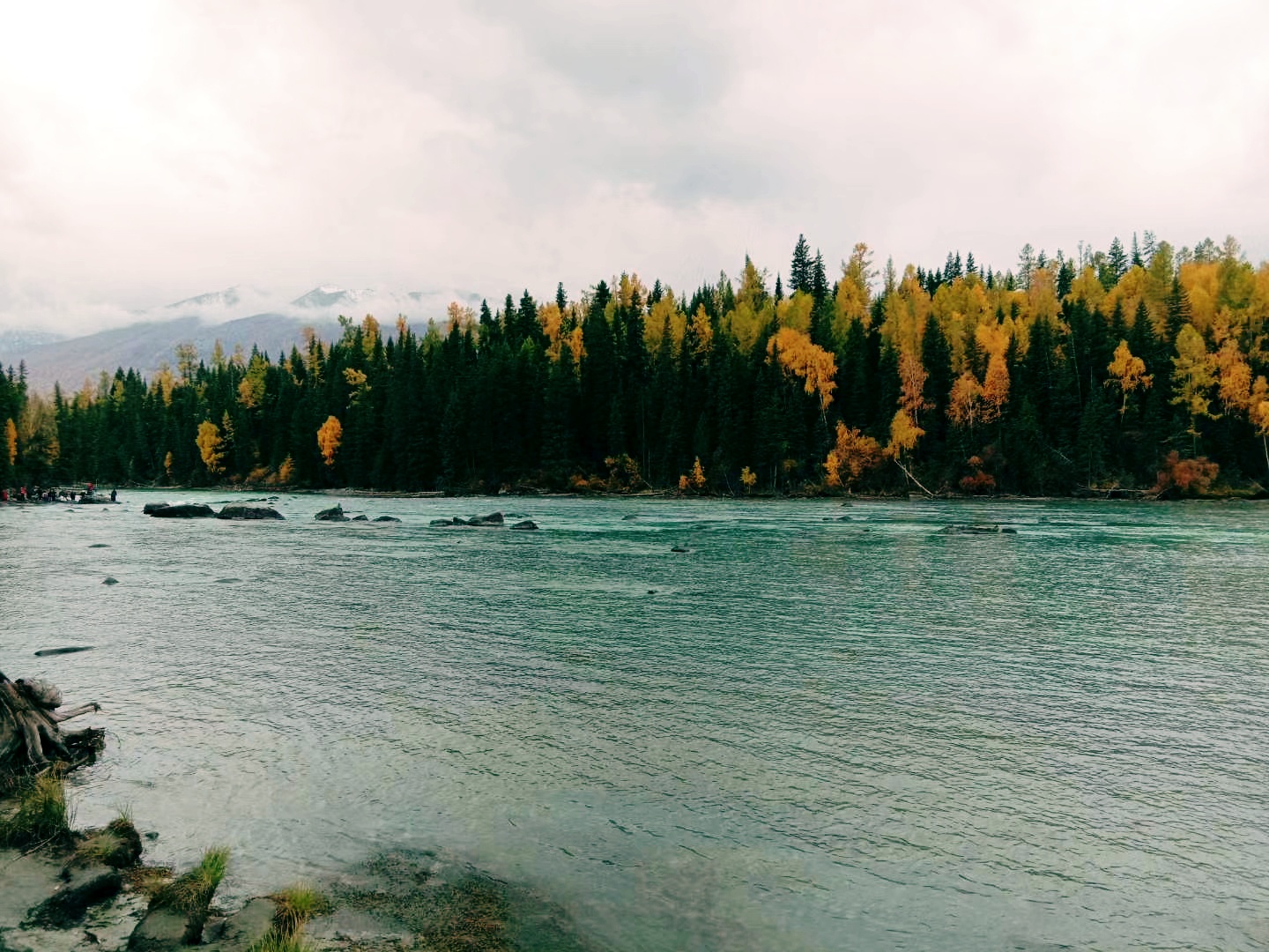喀納斯的秋天美的毫無保留