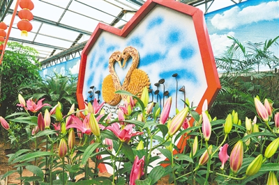 鄭州綠博園姹紫嫣紅迎新春