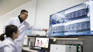 国家科研项目加强伦理审查监管 优化精简项目申报流程