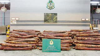 香港﻿海关检值850万走私紫檀木