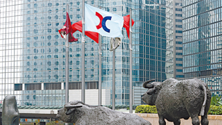 港股猪年涨势未止 恒指升穿“牛熊分界线”