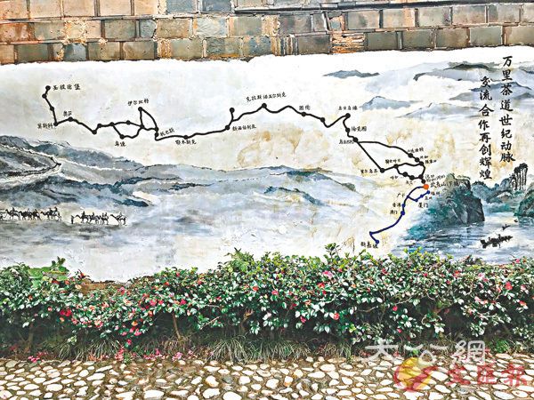 冬日武夷山\余瀾