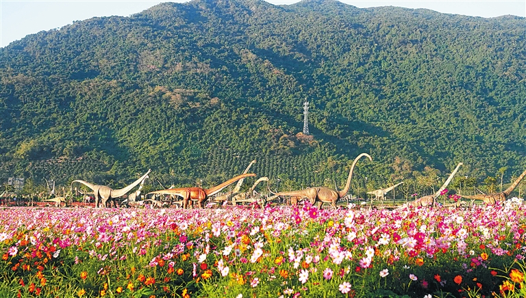 亞龍灣國際玫瑰谷 玫瑰飄香 浪漫滿分