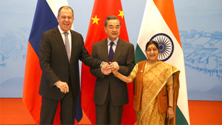 中俄印外长会晤达成八点重要共识