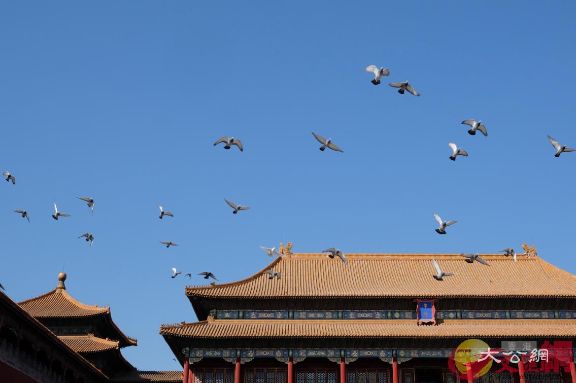 兩會京城 | 藍天下的故宮