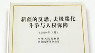 白皮书：新疆依法设立教培中心 把预防性反恐放在第一位