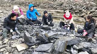 西北大学发现逾五亿年“清江生物群”