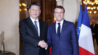 习近平会见法国总统马克龙