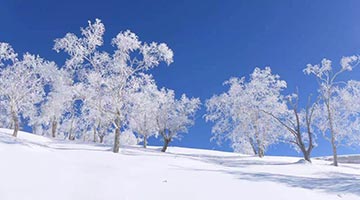 2019中國長白山國際林海雪地馬拉松節本周末開幕