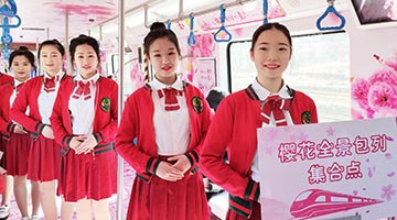 开往春天的地铁 樱花全景专列大连上线