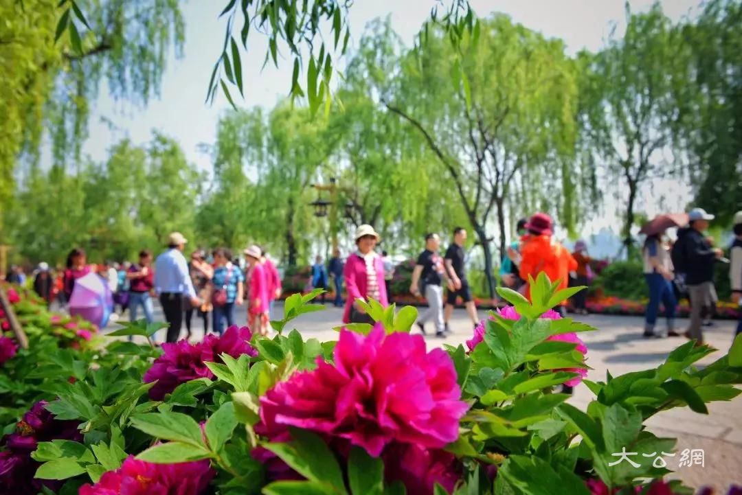 龍門春來好風光  “三區”融合唱新曲