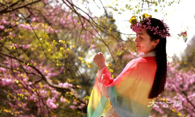 河南西峽老君洞成紫荊花海洋 漫山遍野一片紅