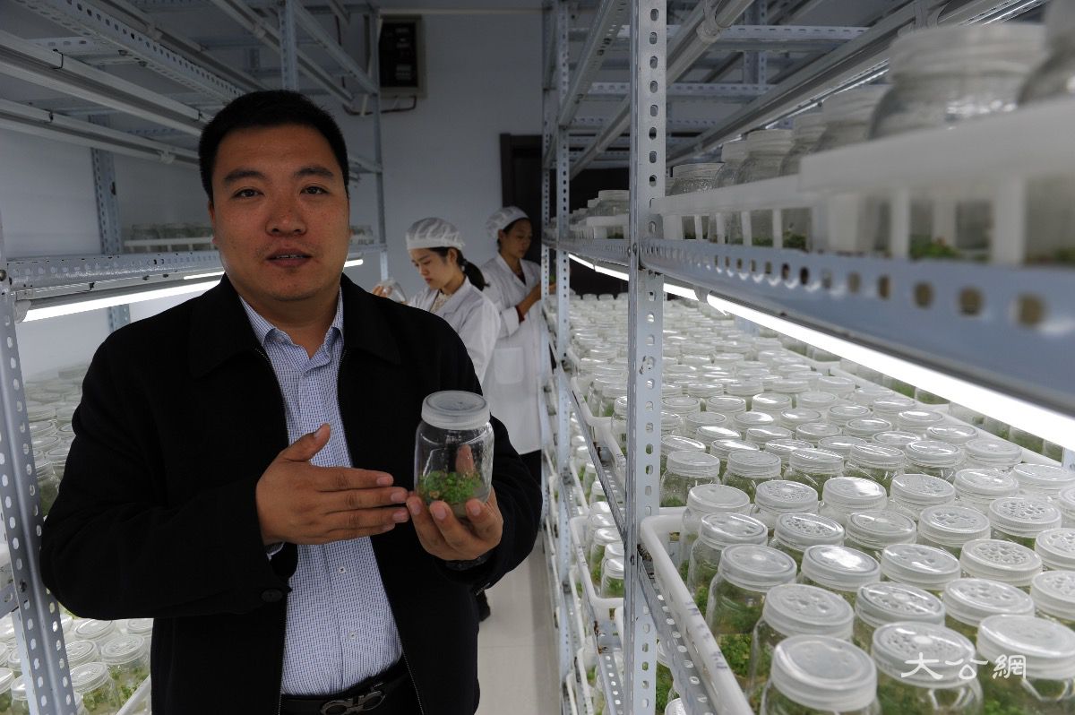 海归还乡续写苹果产业链