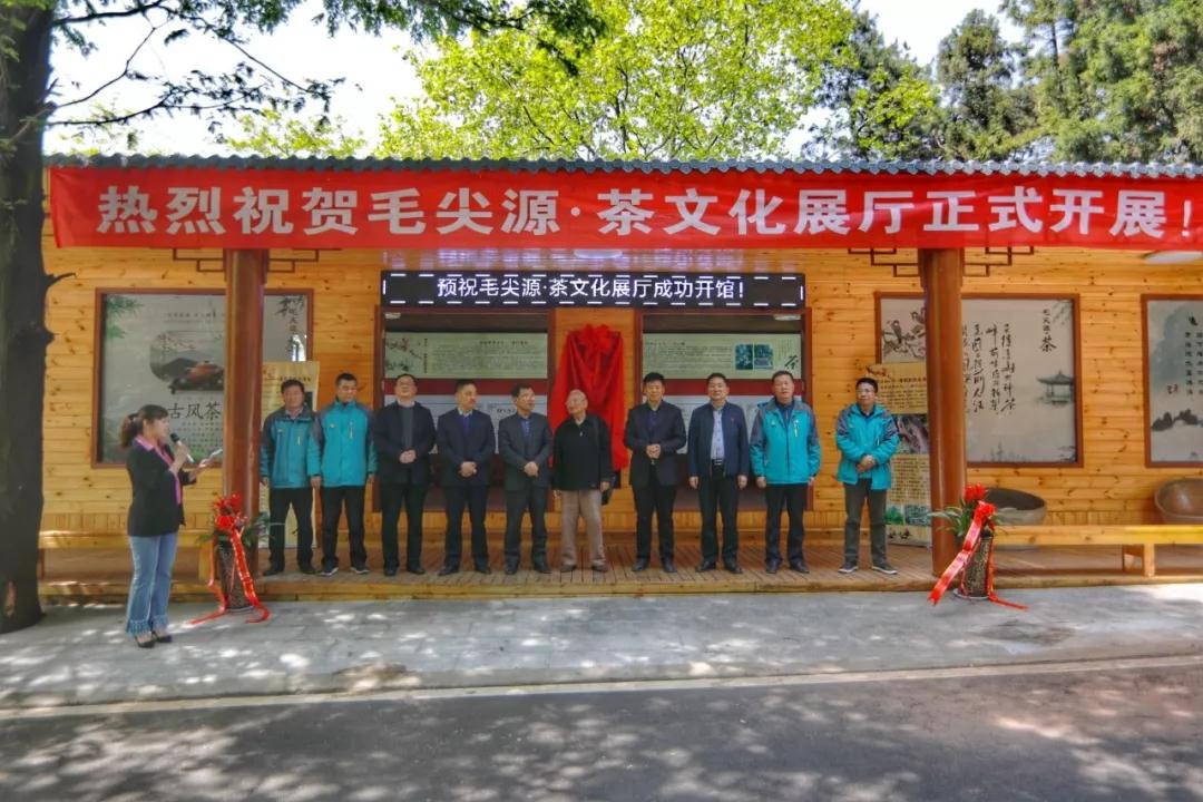雞公山毛尖源·茶文化展廳揭牌 五一」邀遊客品茶韻