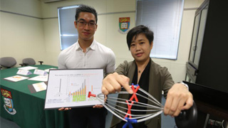 港大染色体专家揭治癌非蛋白质编码
