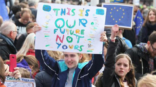 欧洲议会选举 英自民党推新口号：脱欧纯属胡扯！