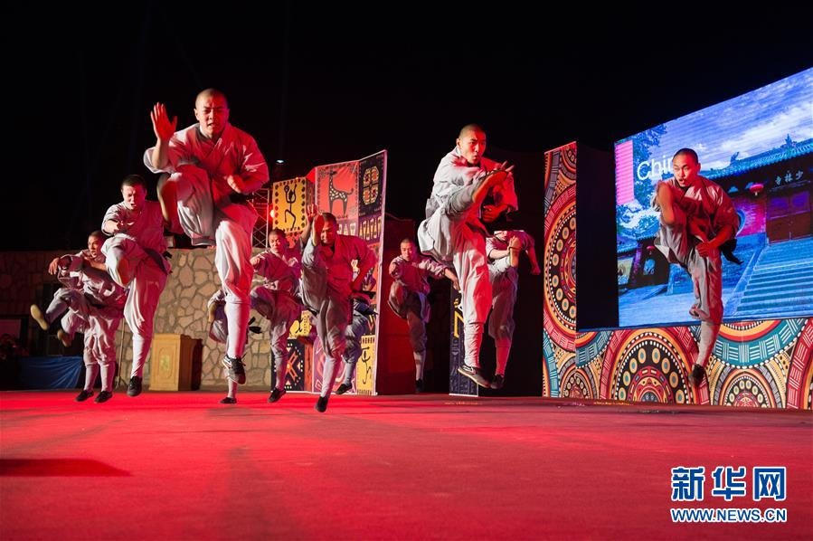 少林功夫闪耀第七届阿斯旺国际文化艺术节