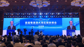 王志民：媒体应写好大湾区这篇“世界级大文章”