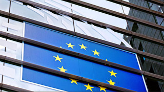 欧洲议会选举初步结果：绿党与极右势力支持率飙升