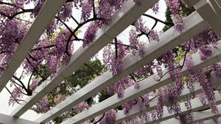 生态环境部发布2018生态环境状况公报：格局总体稳定