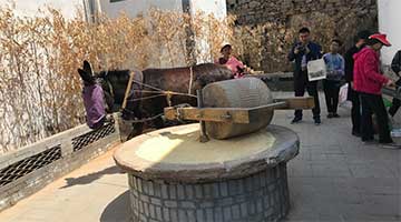 骑上毛驴游太行