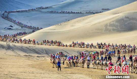 甘肅敦煌大漠駝隊蜿蜒2公里宛若「長龍」