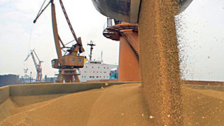 价格缺乏竞争力 中企暂停美农产品新采购