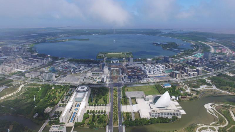 沪自贸临港新片区 力创“国际最强”