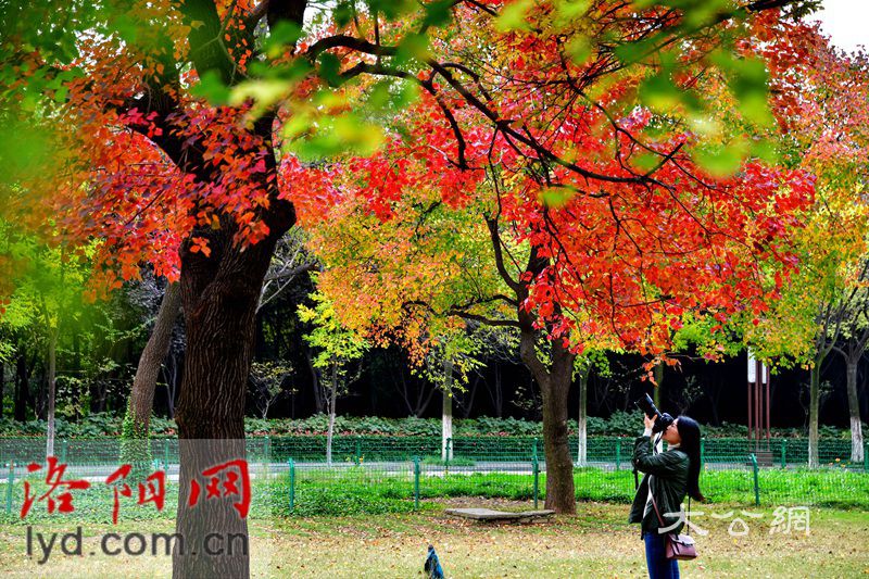 <<點擊瀏覽上一頁