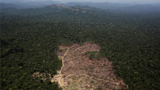 西班牙表示将接替智利举办联合国气候大会