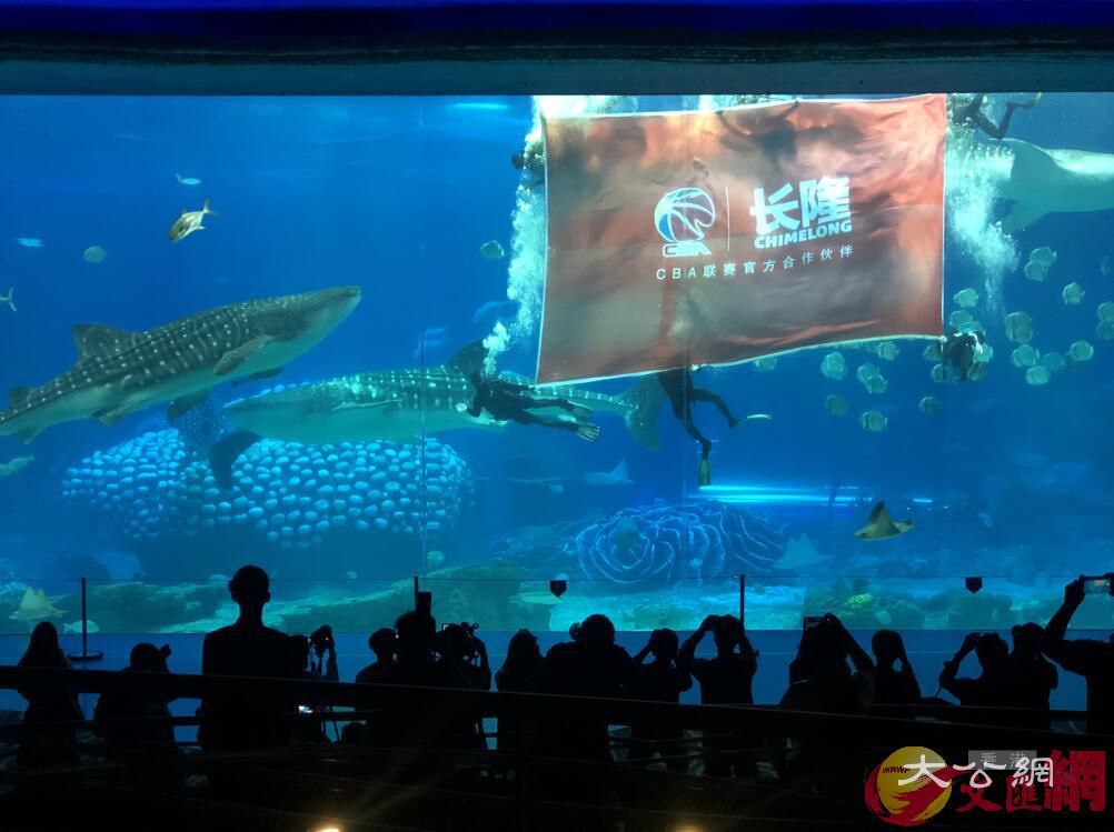 長隆攜手CBA開啟跨界合作，為文體旅遊在大灣區的發展注入新內容 (胡若璋 攝)