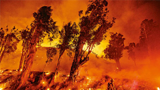 加州山火未熄 州长与特朗普爆口水战