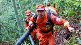 广东高度戒备森林火灾 3万余名护林员全上岗