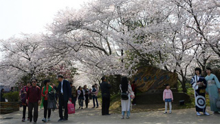 外交部：让中日关系更加坚实、更有韧性、更暖人心