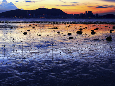 蔡志东《夕阳余晖》